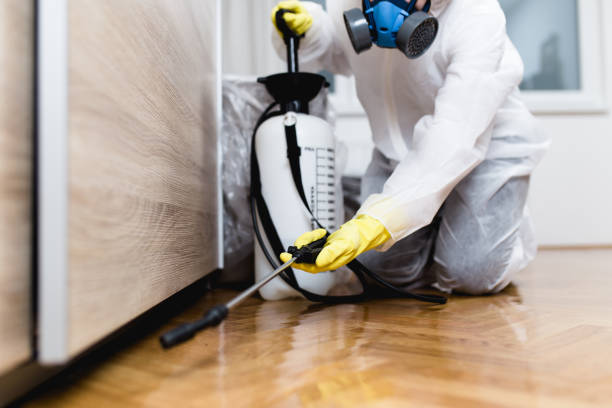 Best Commercial Pest Control Services  in Midland Park, NJ