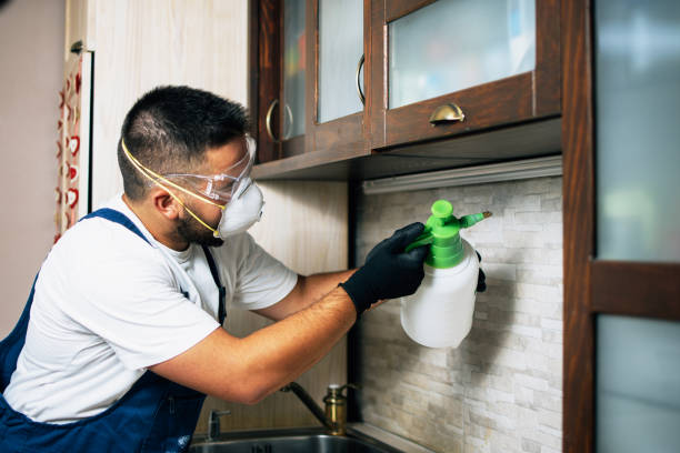 Pest Control Cost in Midland Park, NJ