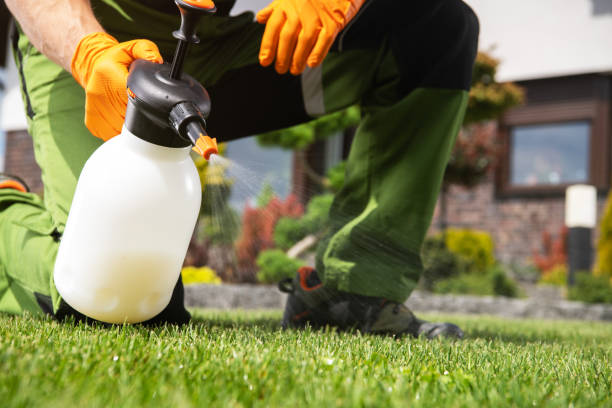 Flea Control Services in Midland Park, NJ