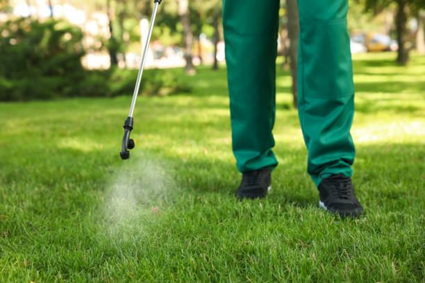 Best Affordable Pest Control Services  in Midland Park, NJ