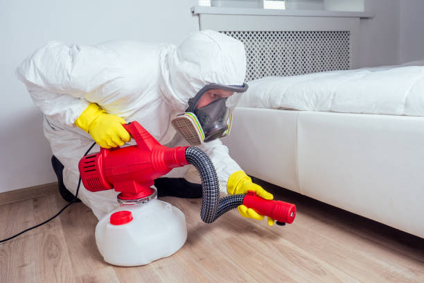 Best Pest Removal Services  in Midland Park, NJ