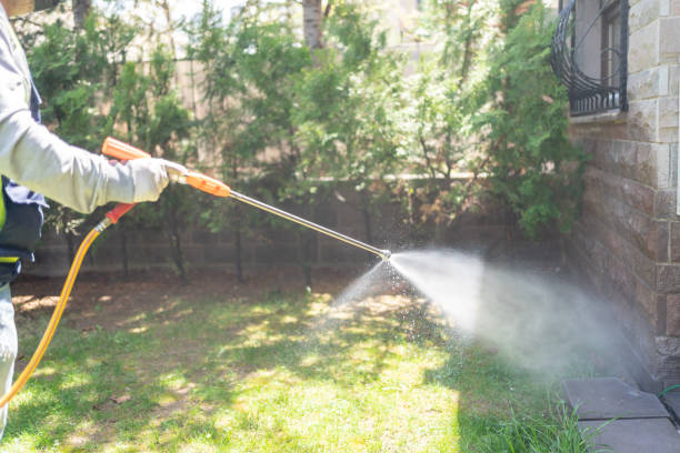 Spider Control Near Me in Midland Park, NJ