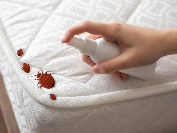 Best Best Pest Control Companies  in Midland Park, NJ