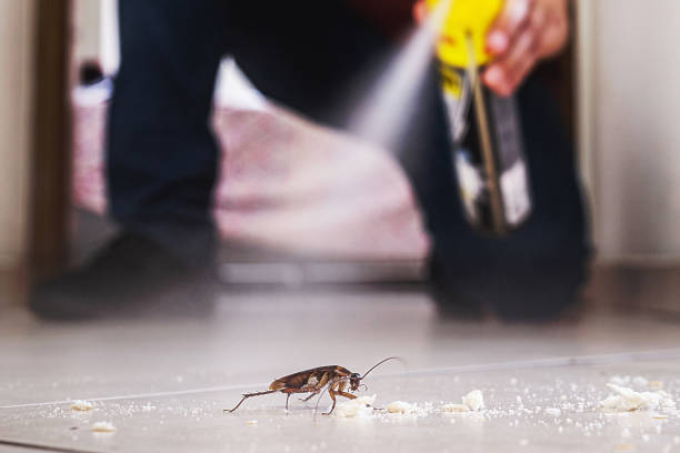 Best Mosquito Control Services  in Midland Park, NJ