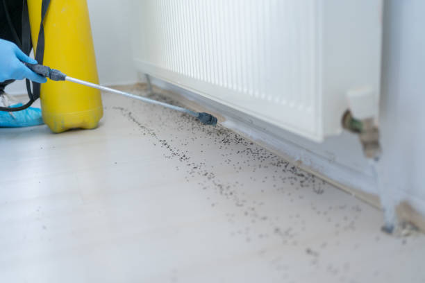 Professional Pest Control in Midland Park, NJ